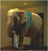 elephant_in_room2